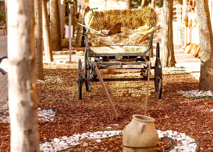 Continent Kapadokus Thermal Szálloda