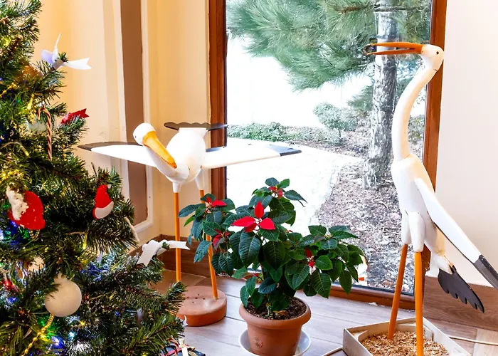 Continent Kapadokus Thermal Hotel Guzelyurt